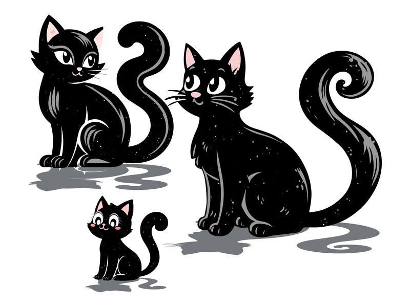 Three black cats of different sizes on a white background