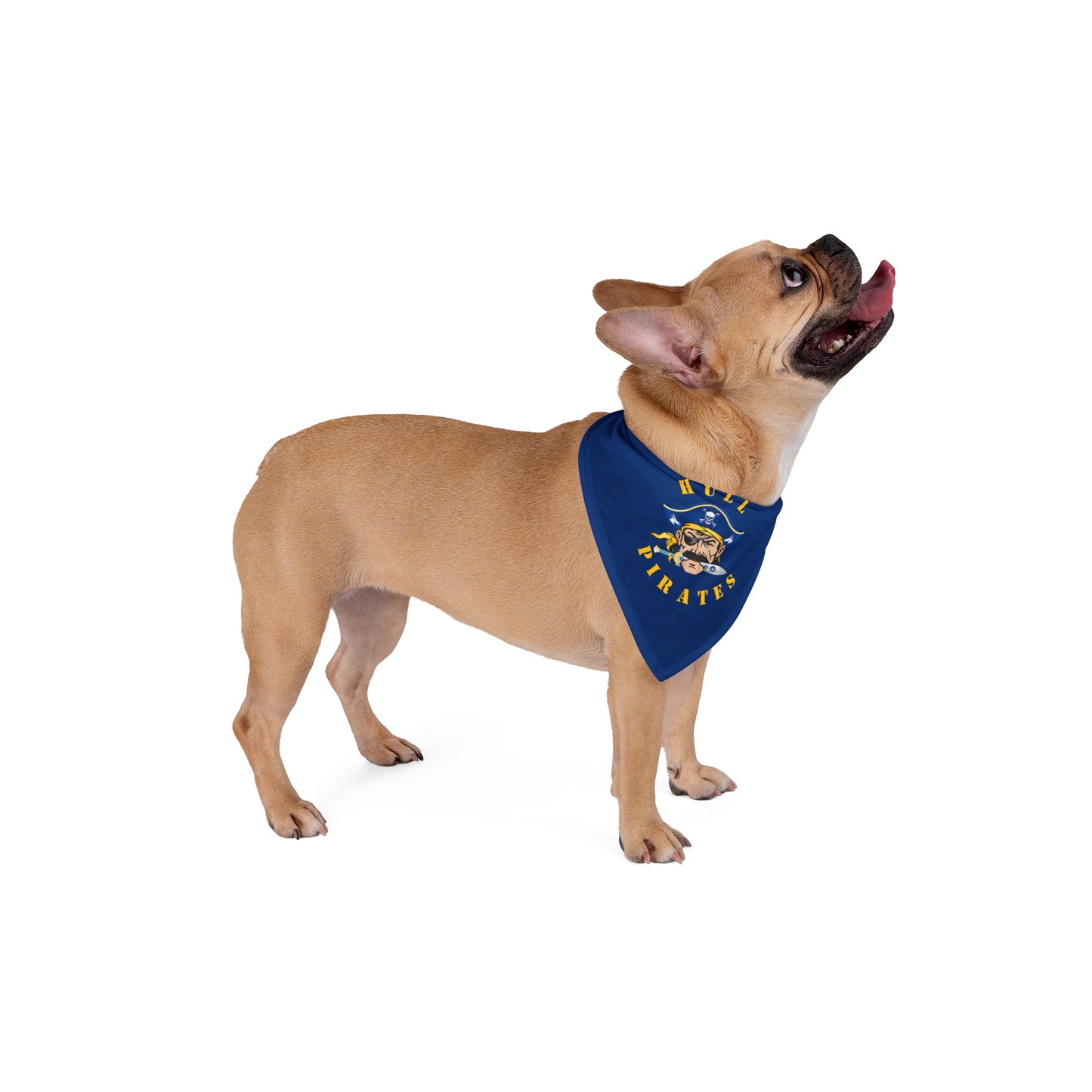 Hull Pirates, Pet Bandana - 27” x 13”